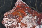 Crazy Lace Agate Slab -  5 Ozs - Lapidary - Display - Crafts — photo 5