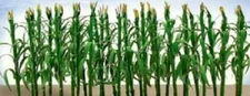 JTT (O-Scale) 95553  CORN STALKS 2 Inch - 28 pk - NIB