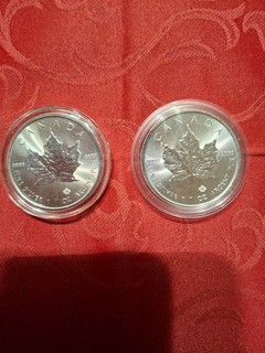 2 x 1 oz maple leaf als Set