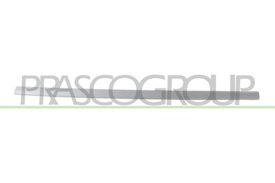 OMAC 4733085R Modanatura decorativa / protettiva, Griglia radiatore