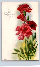 Vintage 1910 Embossed Red Carnations Postcard Loving Greetings