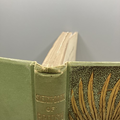 Sketch-Book of British Birds by R. Bowdler Sharpe Hardback Book 1898 - Imagen 4 de 24
