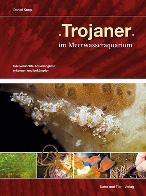 Thumbnail - Trojaner Meerwasseraquarium | Daniel Knop | Buch | Ntv
