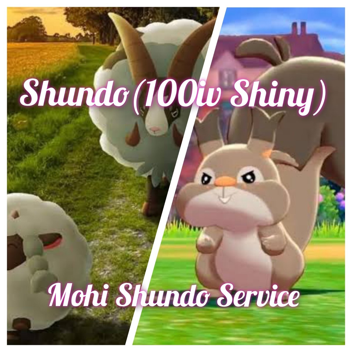 Como Obter Skwovet E Wooloo No Pokémon Go - Foto 2