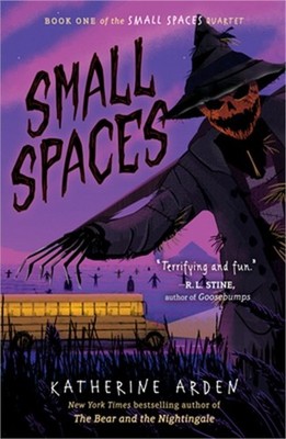 Small Spaces (Paperback or Softback)