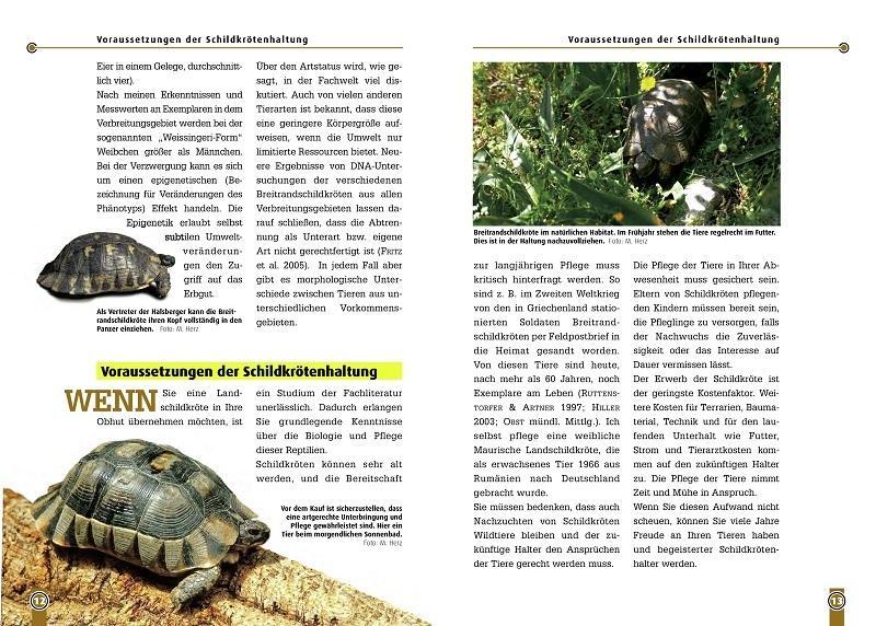 Thumbnail - Die Breitrandschildkröte Mario Herz 9783937285948