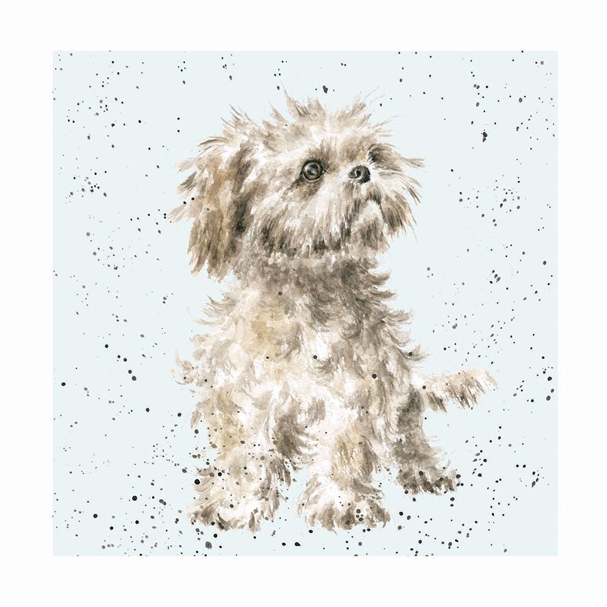 Wrendale Designs A Dog's Life Greeting Card  Shih Tzu