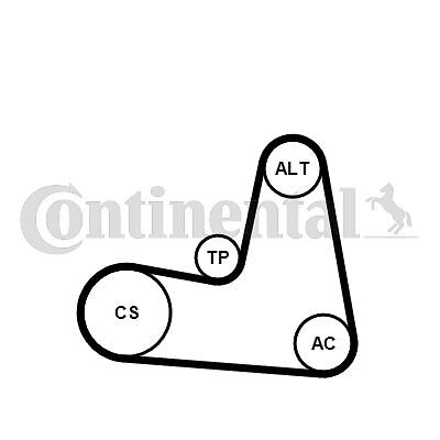 Keilrippenriemensatz Continental CTAM 7PK1125K1 für RENAULT - Bild 1 von 2