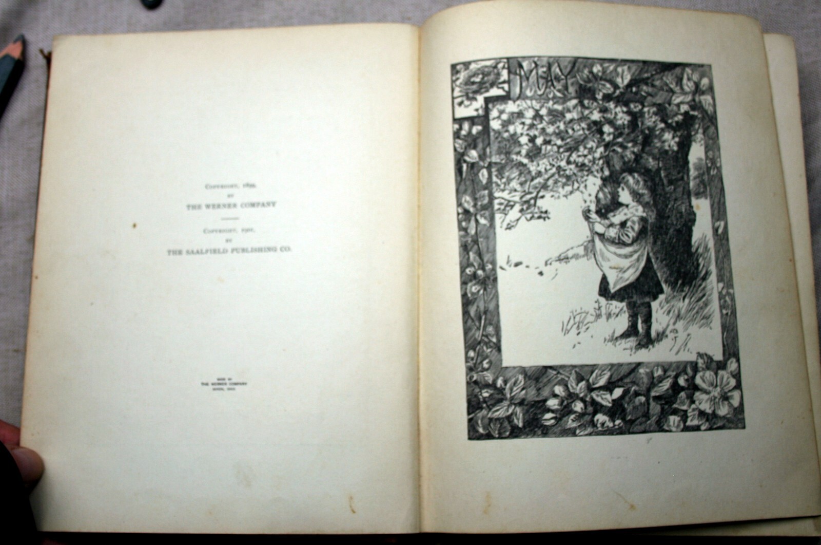 Picture 5 of 7