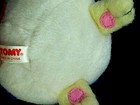 Bild 5 von 6