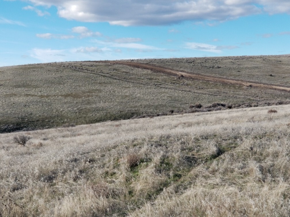 (14 acres) Vacant Land For Sale In Yakima County (Moxee, WA). 22,000