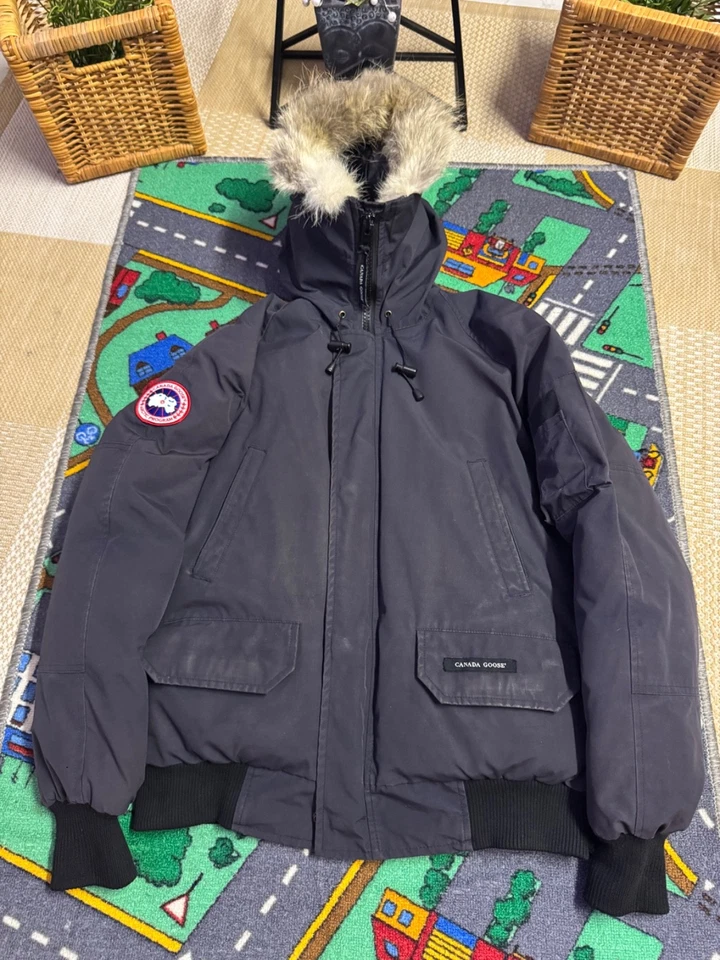 Canada Goose Chilliwack, Foto 1 von 5