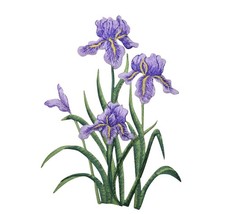 Purple Iris Flower Iron on Patch, Large Embroidered Floral Applique for Jackets,