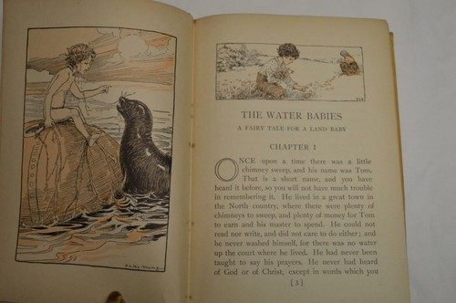 1916 THE WATER BABIES BY CHARLES KINGSLEY ILLUSTRATED BY FLORENCE LILEY YOUNG - Picture 8 of 10
