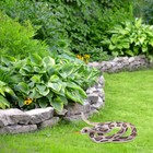 Bild 3 von 12