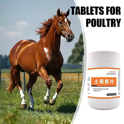 50mg X 1000 Pcs Oxytetracyeline Tablets for Poultry Cat Gog Chichen Bird H E4L7 - Imagen 4 de 11