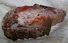 Bild 4 von 11