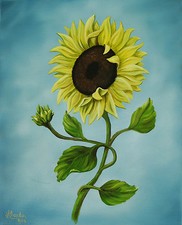 Original Oil Painting, Florals, Sunflower, 16