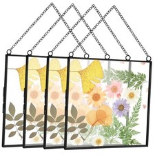 Pressed Flowers Glass Frames 6 x 6 Inch, Hanging Double Glass Picture 4 Black