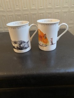 Two Leonardo Collection Cat Napping Mugs