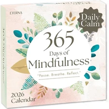 2026 Mindfulness Daily Desktop Calendar | Day To Day Tear Off Calendar with 3...