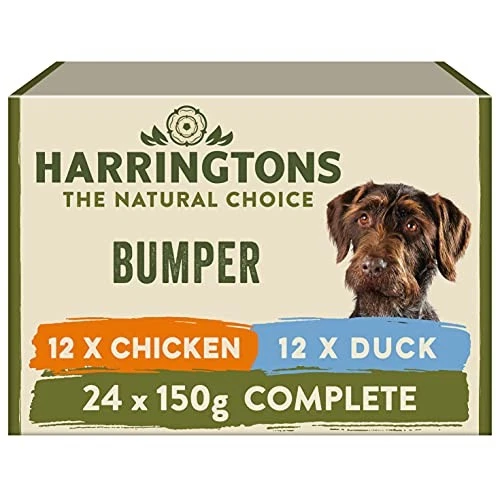 Complete Wet Tray Grain Free Hypoallergenic Adult Dog Food Mixed