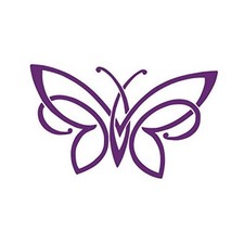 Unique Butterfly Pick Color Vinyl Transfer Sticker Decal for