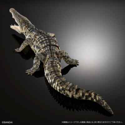 The Diversity of Life on Earth Ultimate Nile Crocodile Light Color