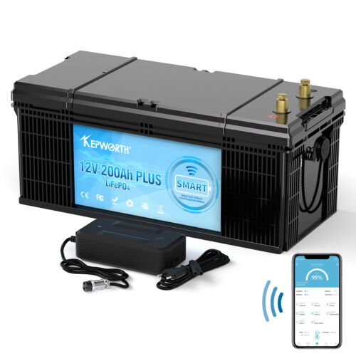 Batería de litio 100Ah 200Ah 300Ah 12V LiFePO4 BMS batería autocaravana 20000 ciclos - Imagen 44 de 122