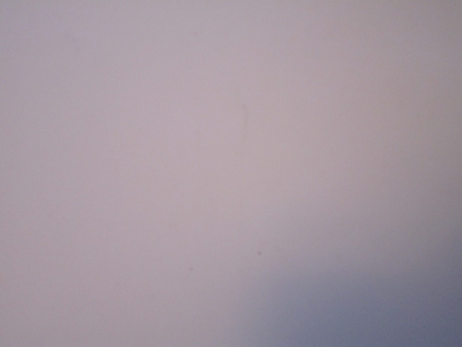Bild 11 von 12