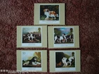 PHQ Stamp card set FDI Back No 132 Dogs 1991. 5 card set.  Mint Condition.