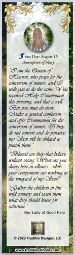 Our Lady of Good Help, Champion, Wisconsin laminated Bible scripture bookmark. - Imagen 3 de 3
