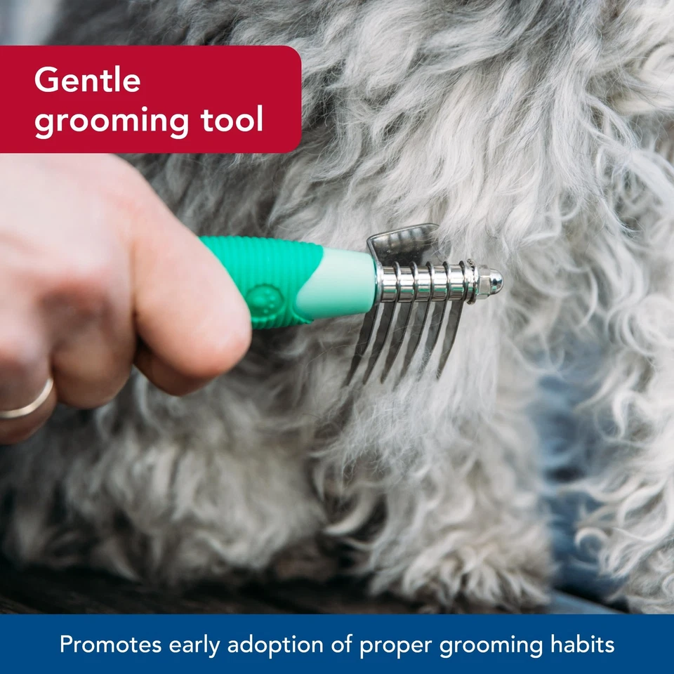 Pet Li'l Pals pente de aço inoxidável desmatamento - alça fácil de segurar para higiene - Imagem 3 de 4