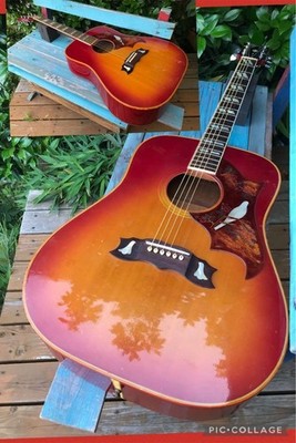 Aria WD-35CH アリア ダヴ チェリー Aria Wd-35Ch Dove Cherry USED F/S | eBay