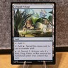 MTG Lilypad Village Bloomburrow Set Uncommon Land #255 NM Fresh Pull No Play