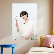 Zhang Linghe poster Magazine Photo Advertising Endorsement photo 16 inch 30 42c