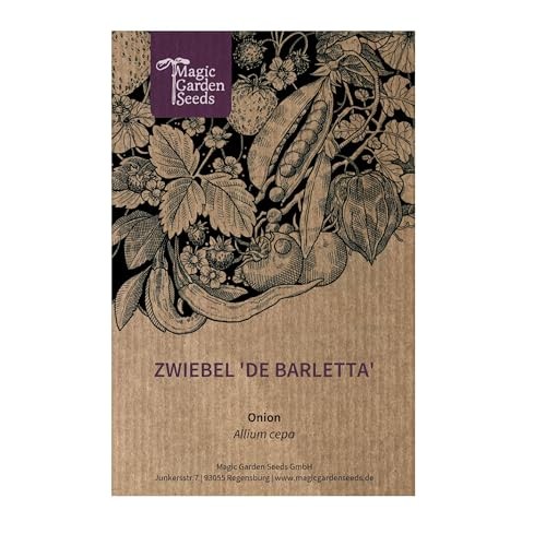 Cipolla 'De Barletta' (Allium cepa) circa 250 semi Cipolla argentata (j4O)