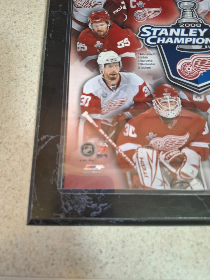 Placa Detroit Red Wings 2008 Stanley Cup Champions madeira encore 15x12 MVP pendurar - Imagem 3 de 4
