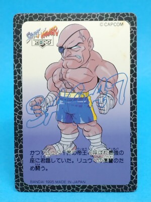 Sagat No.034 Street Fighter ZERO 1995 Carddas Trading Card CAPCOM 
