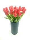 Afbeelding 9 van 37