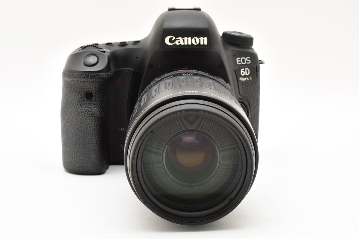 Canon EOS 6D Mark II DSLR Camera w/ Canon EF 100-300mm