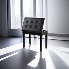 Premium Black Multi-functional Wood Piano Bench Plush Cushion  Spacious Storage
