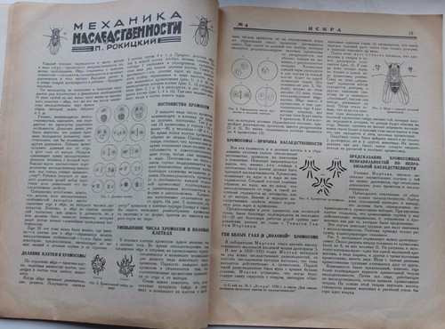 1929 Russia Scientific Magazine Avant-Garde Cover, Giant Telescopes,Soviet Movie - Picture 6 of 9