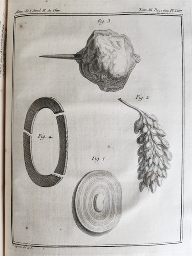 1753 SURGERY ANATOMY ILLUSTRATED antique Memoires l'Academie Royale de Chirurgie - Picture 16 of 21