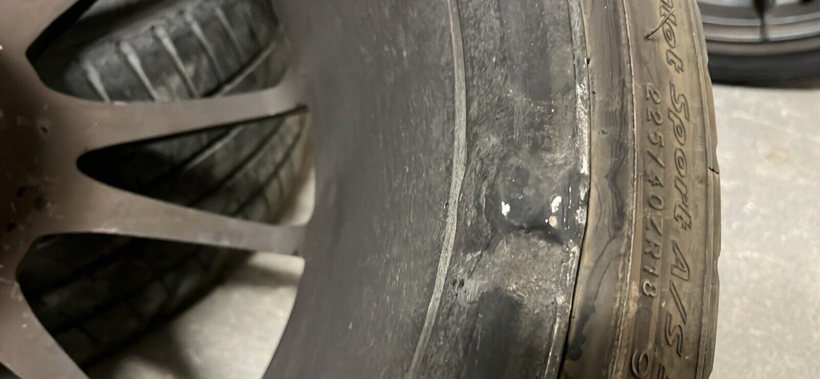Picture 6 of 6
