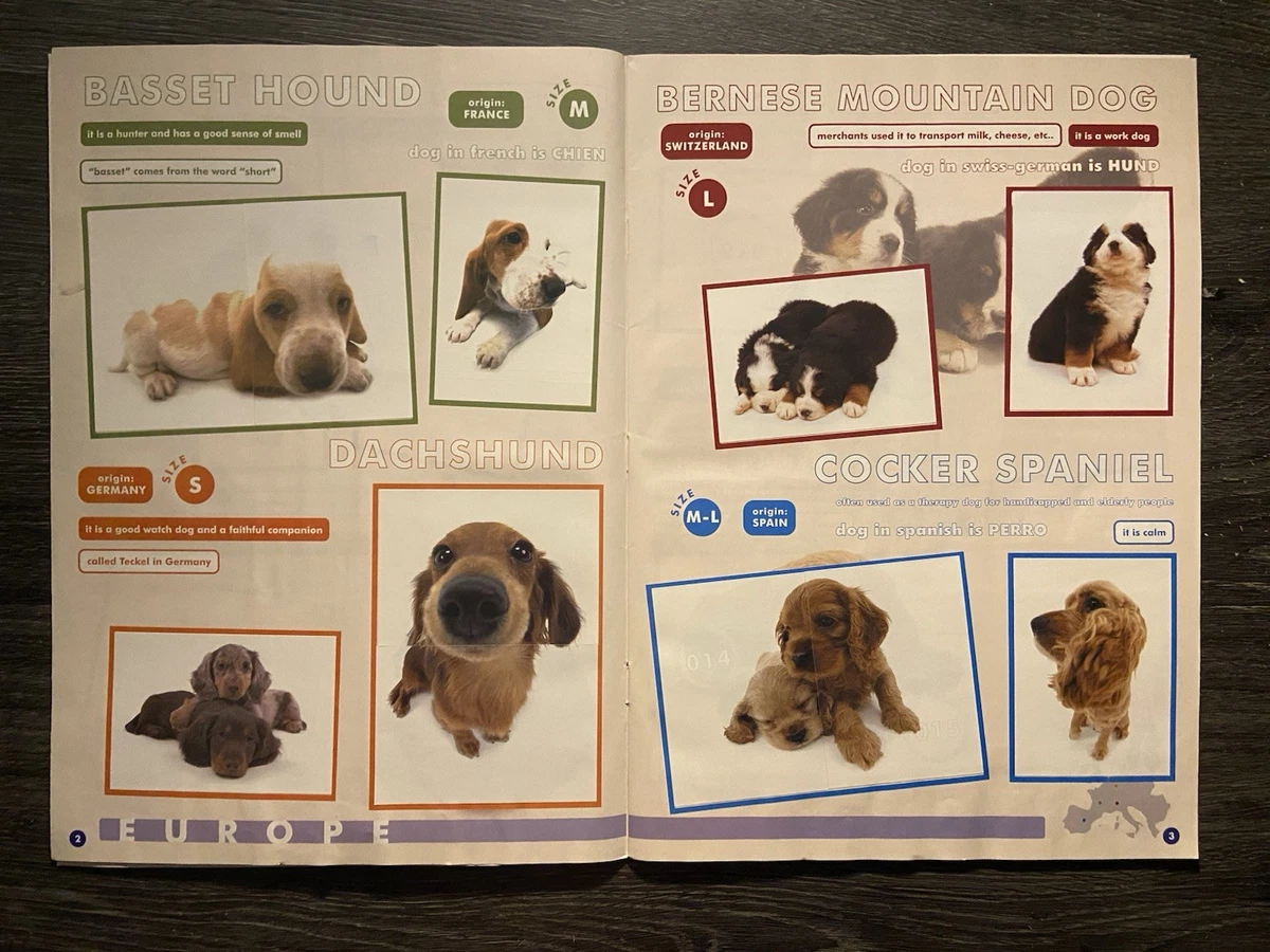 The Dog Artist Collection Sticker Book 2005 100% Completed