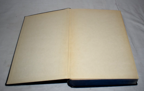 Antikes SMITH'S BIBLE DICTIONARY A.J. Holman & Co. 1901 überarbeitete Auflage - Bild 4 von 14