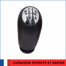 POMMEAU CHROME DE LEVIER 6 VITESSE CLIO 3 Megane 2 Scénic 2 Kangoo