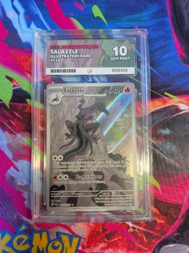 Pokemon - Salazzle - 224/217 - Illustration Rare - ACE 10