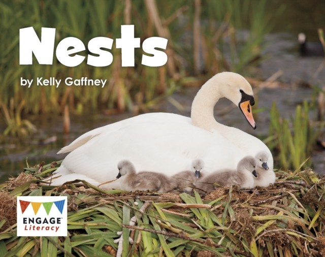 Nests by Kelly Gaffney (Paperback Book)